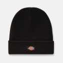 Dickies Gibsland Unisex Beanie