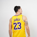 Nike NBA LeBron James Los Angeles Lakers Icon Edition 2020 Jersey