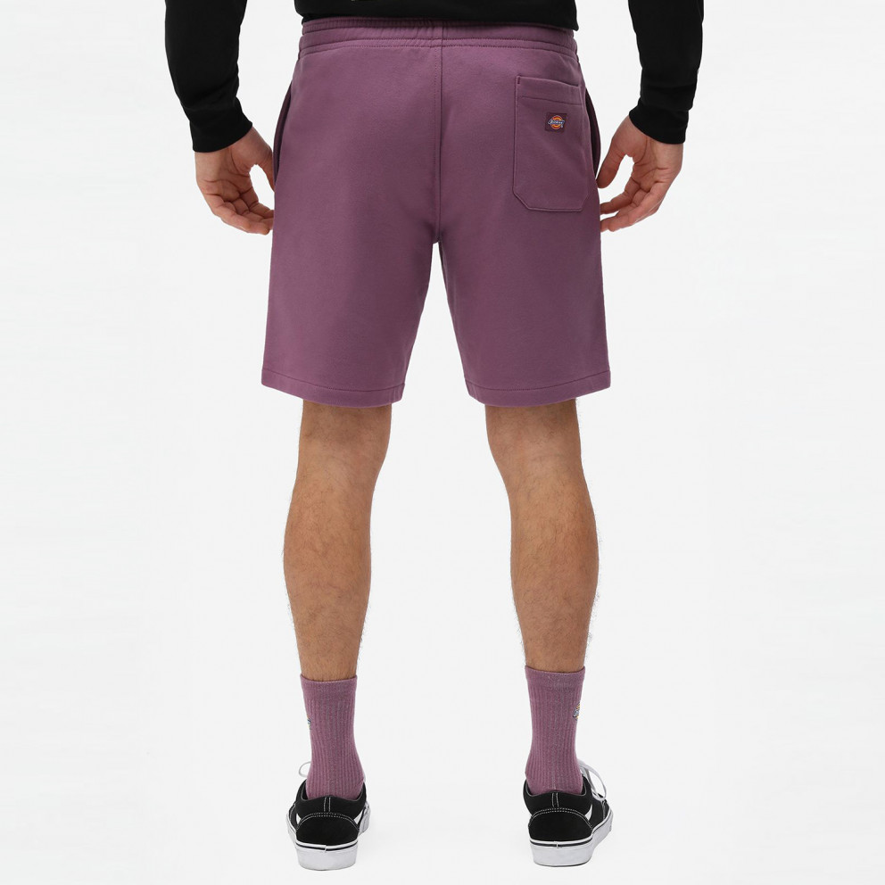 Dickies Champlin Men’s Shorts