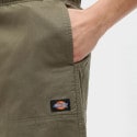 Dickies Pelican Men's Shorts