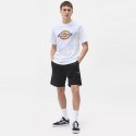 Dickies Pelican Men's Shorts