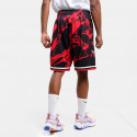 Mitchell & Ness Team Marble Chicago Bulls Swingman Men's Shorts