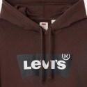 Levis Standard Graphic Hoodie Bw Ssn