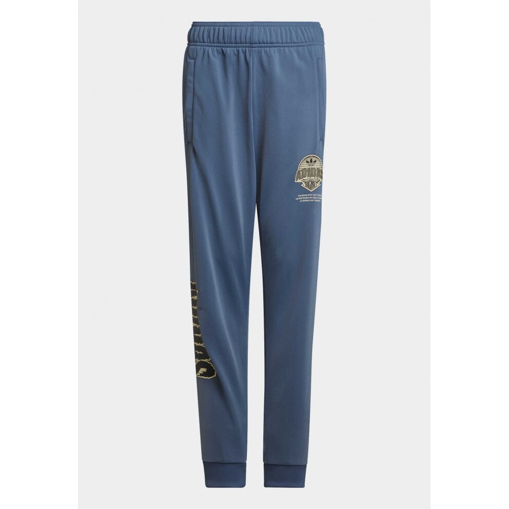 adidas Originals Graphic Pant