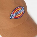 Dickies Sumiton Unisex Trucker Cap