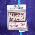 Mitchell & Ness NBA Larry Johnson Charlotte Hornets Alternate 1994-95 HWC Swingman Jersey