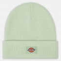 Dickies Gibsland Unisex Beanie