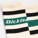 Dickies Genola Aventurine