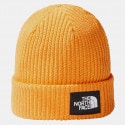 the-north-face-salty-dog-lined-beanie