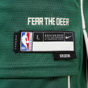 Nike Giannis Antetokounmpo Milwaukee Bucks Kids' Basketball Jersey