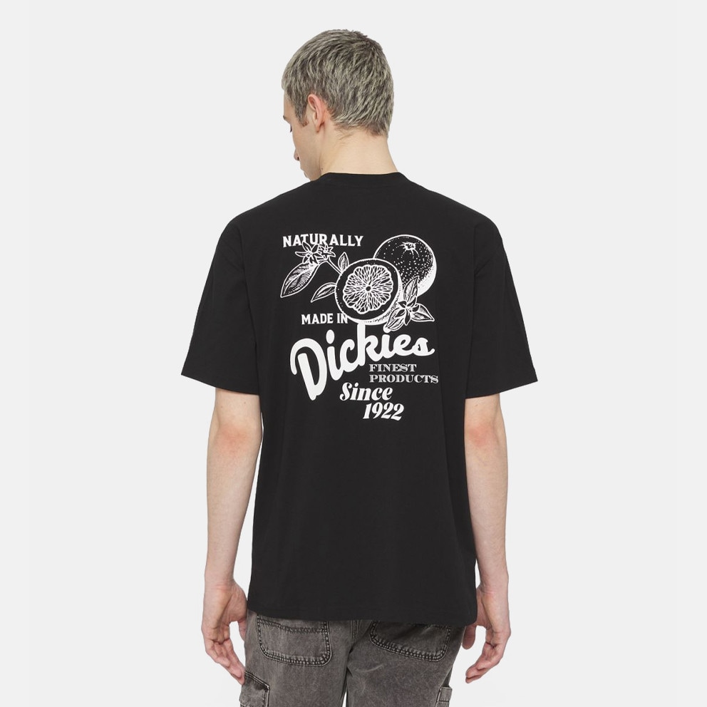 Dickies Raven Tee Ss Black