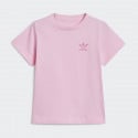 adidas Originals Short Tee Set