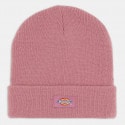 Dickies Gibsland Mellow Mauve