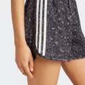adidas Originals Stn Shorts