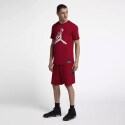 Jordan Jumpman Logo Men's Shorts